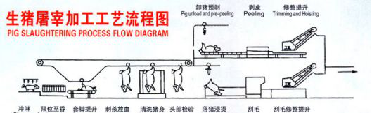 高溫熱泵屠宰運用