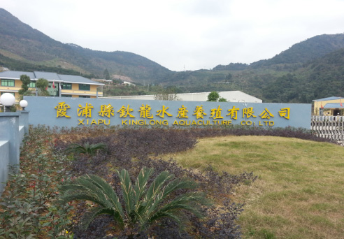 福建霞浦縣欽龍水產養殖有限公司恒溫養殖項目